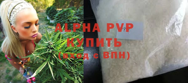 прущие крисы Верея